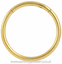 Yellow gold PVD titanium hinged segment ring