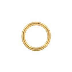 Yellow gold PVD titanium hinged segment ring