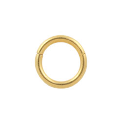 Yellow gold PVD titanium hinged segment ring