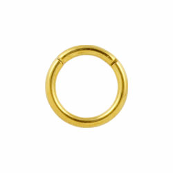 Yellow gold PVD titanium hinged segment ring