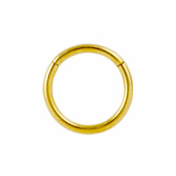 Yellow gold PVD titanium hinged segment ring