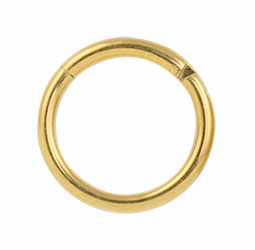 Yellow gold PVD titanium hinged segment ring