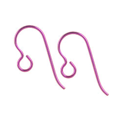 Niobium earring hooks