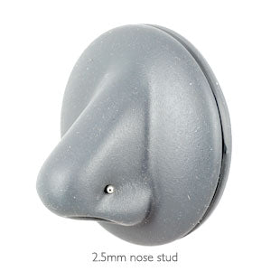 Titanium ball nose stud