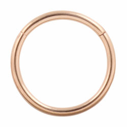 Rose gold PVD titanium hinged segment ring