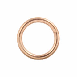 Rose gold PVD titanium hinged segment ring