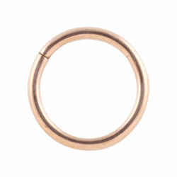 Rose gold PVD titanium hinged segment ring