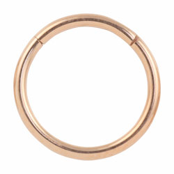 Rose gold PVD titanium hinged segment ring