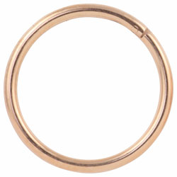 Rose gold PVD titanium hinged segment ring