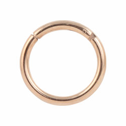 Rose gold PVD titanium hinged segment ring