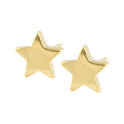 Surgical steel star stud earrings