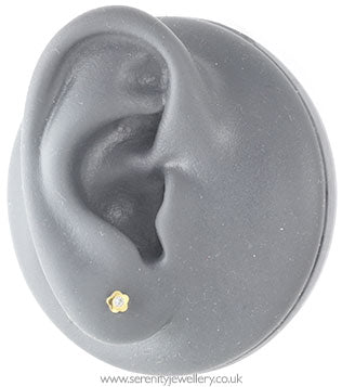 Studex Plus gold plated steel flowerlite piercing earrings