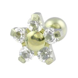 Five petal flower internally threaded titanium barbell