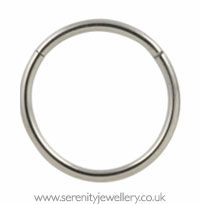 Titanium hinged segment ring