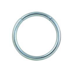 Titanium hinged segment ring
