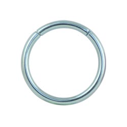 Titanium hinged segment ring