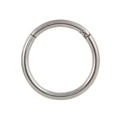 Titanium hinged segment ring