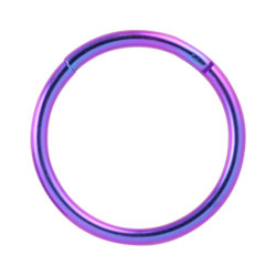Titanium hinged segment ring