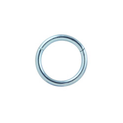 Titanium hinged segment ring