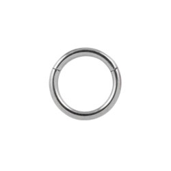 Titanium hinged segment ring