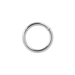 Titanium hinged segment ring