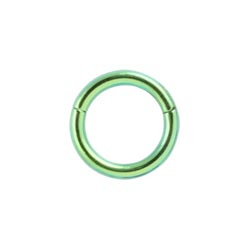 Titanium hinged segment ring
