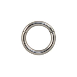 Titanium hinged segment ring