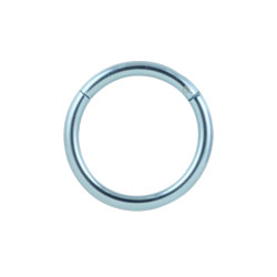 Titanium hinged segment ring