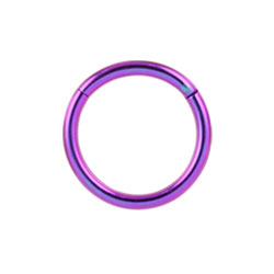 Titanium hinged segment ring