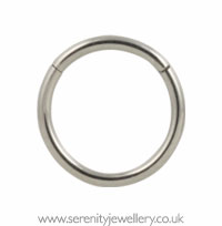 Titanium hinged segment ring