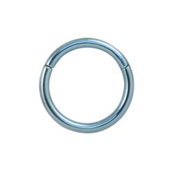 Titanium hinged segment ring