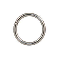 Titanium hinged segment ring