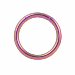 Titanium smooth segment ring